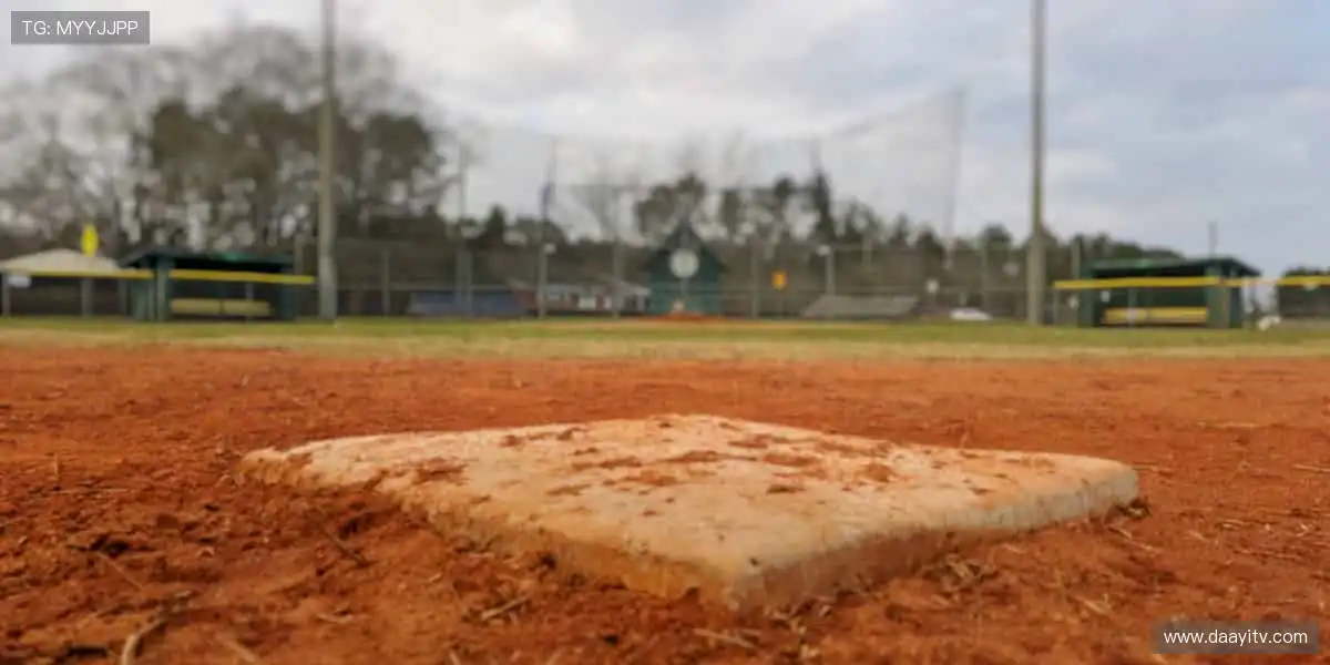 次世代电子游戏专区：高清画面实时呈现，互动玩法精彩不断